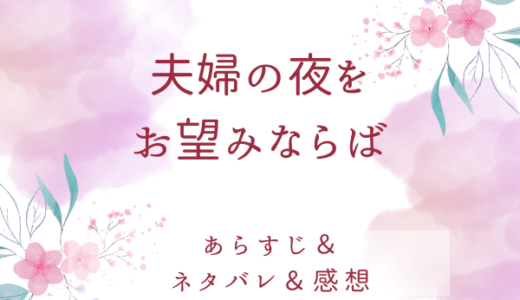 「夫婦の夜をお望みならば」のあらすじ〜最終回結末まで・ネタバレ・感想